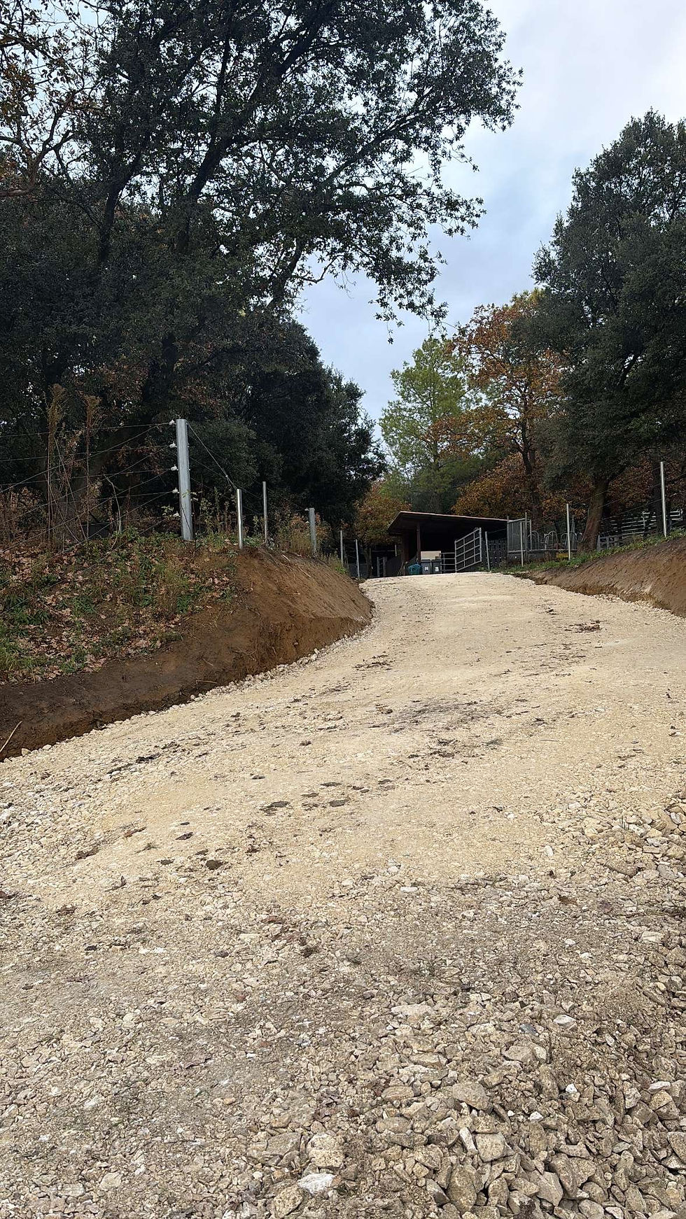 Terrassement d'un chemin d'accès