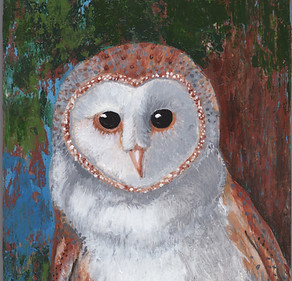 Barn Owl Scan crop.jpeg