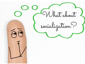 What About Socialization?!