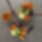 peanut 2-10.jpg