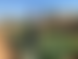 5 Steps to Running a Great Volunteer Event this Mandela Day