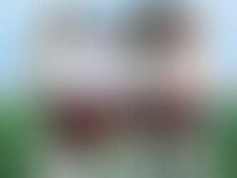 Seeds not Weeds - the currency of negativity