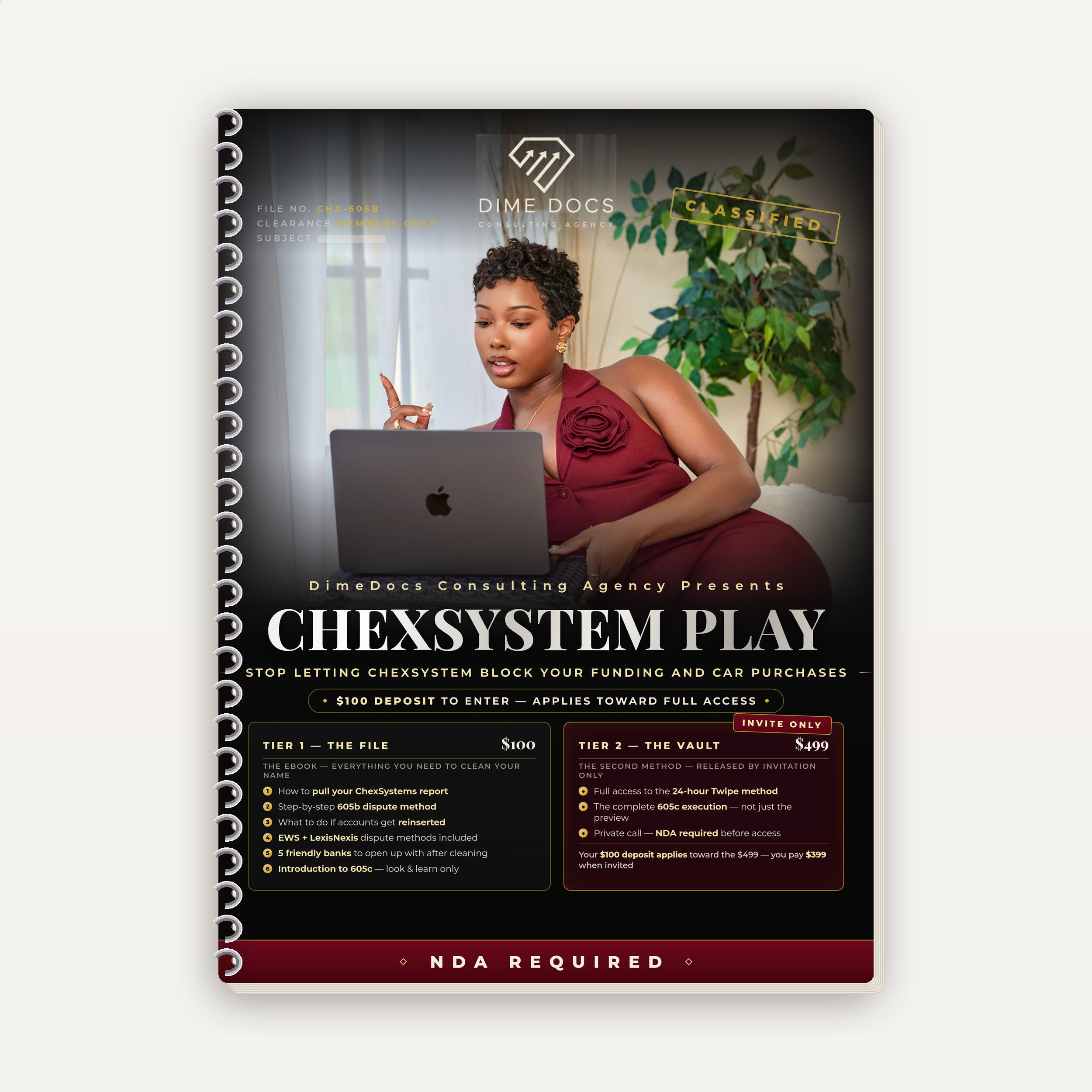 CHEXSYSTEM PLAY