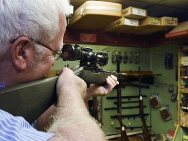 Proposed bill would mandate liability insurance for gun owners