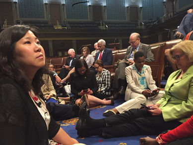 ‘No bill, no break!’ Queens Democrats in the thick of the Congressional sit-in on Capitol Hill