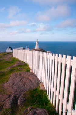 Cape Spear Fence line