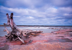 Rapids of the Drowned