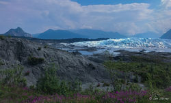 Matanuska Glacier