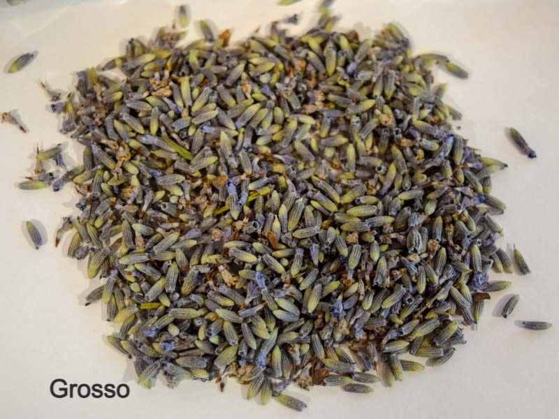 Thumbnail: Dry Lavender Buds