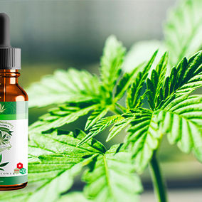 Magasiin de Cbd médicale légal Suisse.