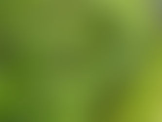 Første hækklipning