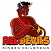 Heilbronn logo.webp