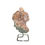 縮圖：pink amethyst crystal on stand