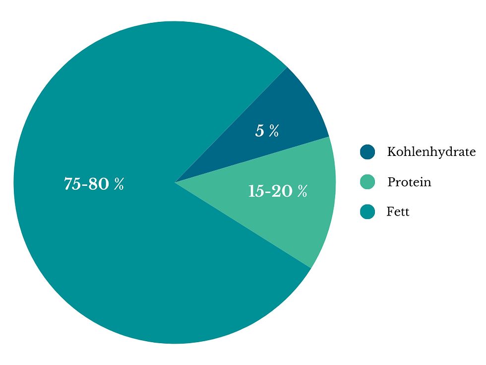 Ketogene Ernährung bei Lipödem