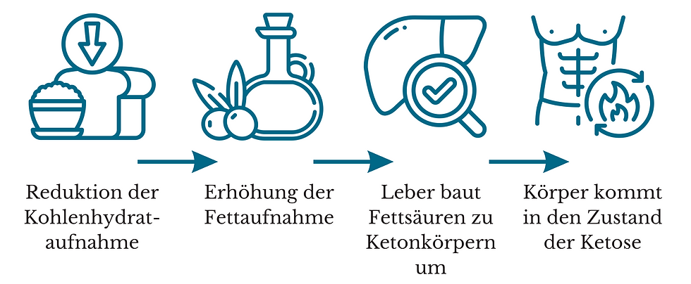 Weg in die Ketose