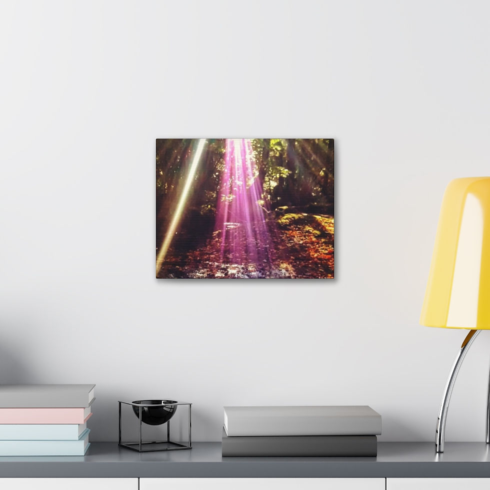 Thumbnail: Leaf Abduction- Canvas Gallery Wraps