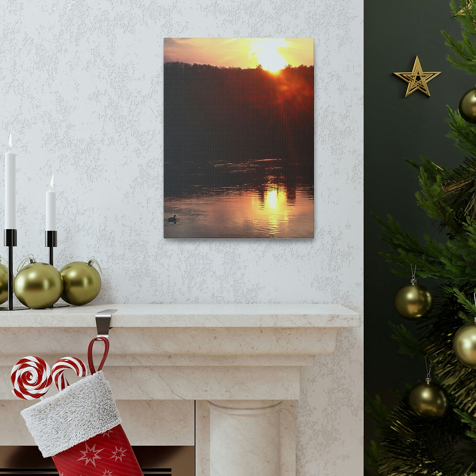Thumbnail: Mighty Duck- Canvas Gallery Wraps