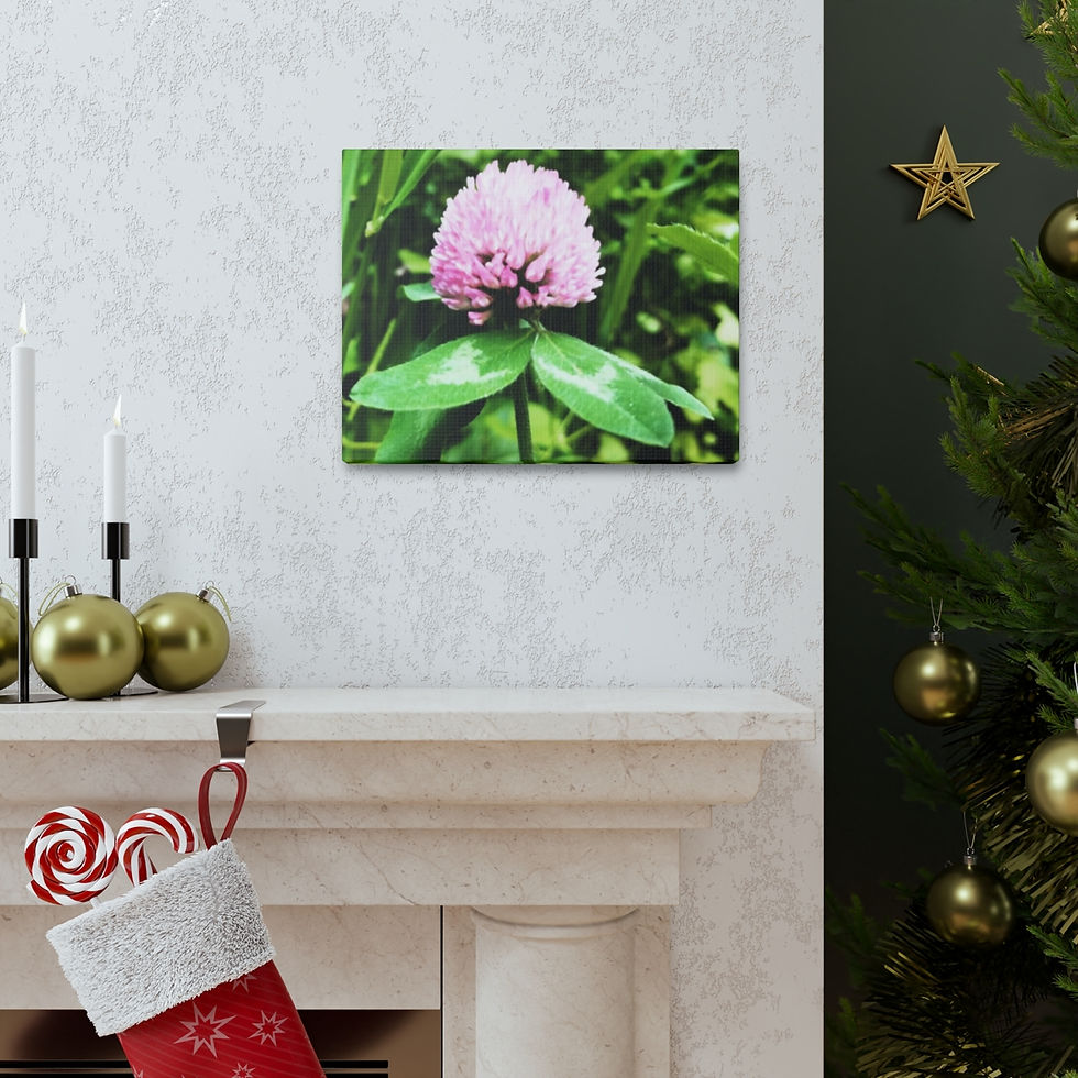 Thumbnail: Clover- Canvas Gallery Wraps