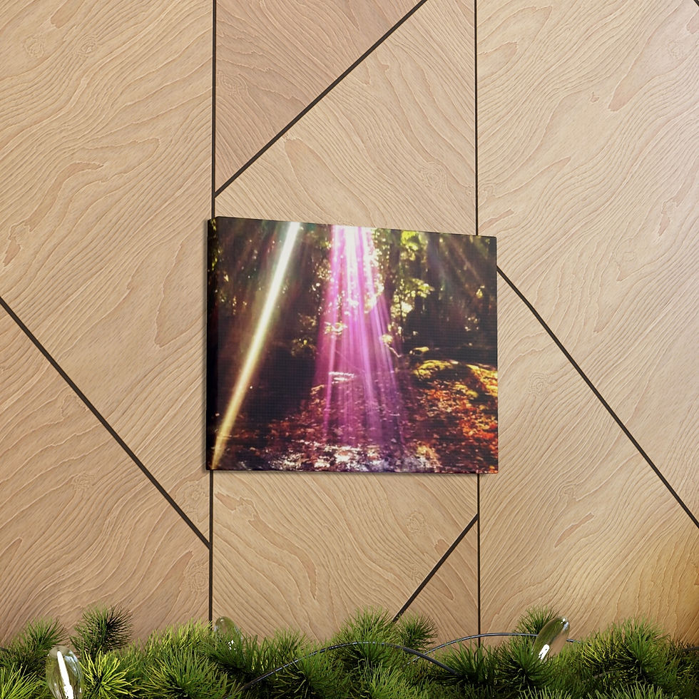 Thumbnail: Leaf Abduction- Canvas Gallery Wraps
