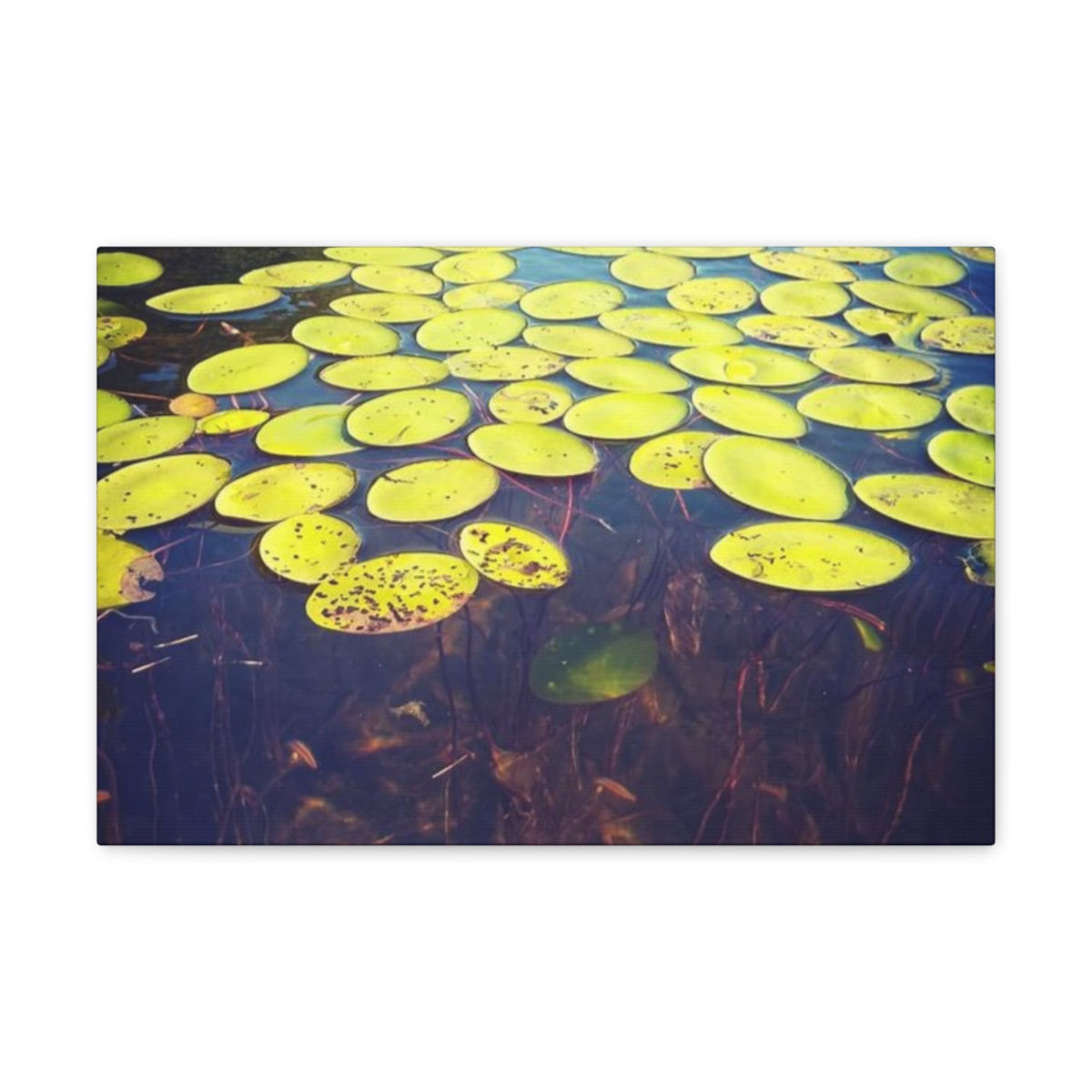 Welcome To My Pads- Canvas Gallery Wraps