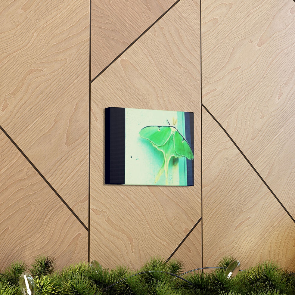 Thumbnail: Luna- Canvas Gallery Wraps