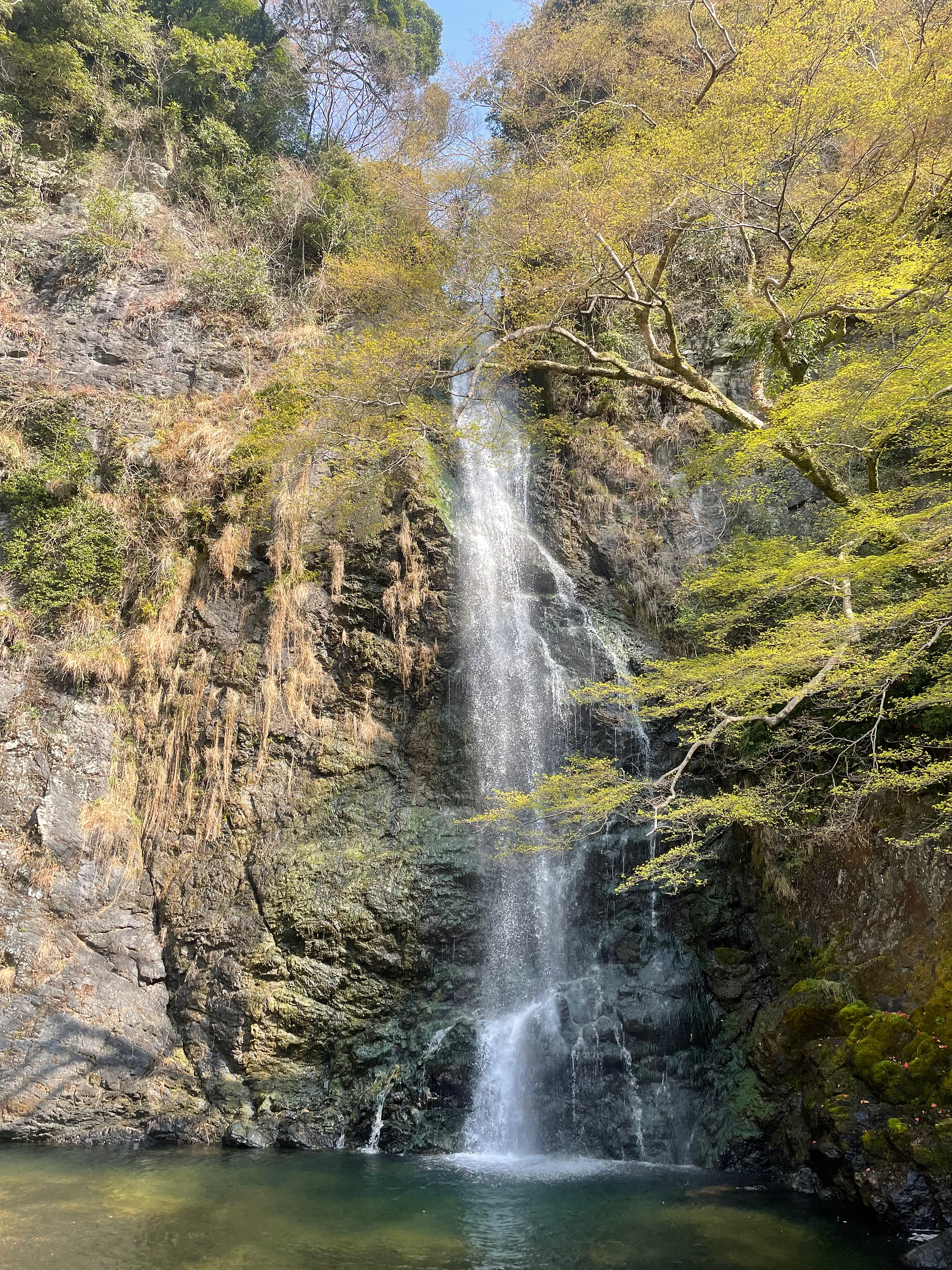 Minor Falls, the most beautiful site I have seen in Japan. 