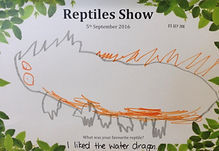 IMG_2929.jpeg