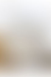 疫情冲击挫LVMH第二季度收入