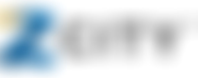 •张棕城• 从消费平台创双赢