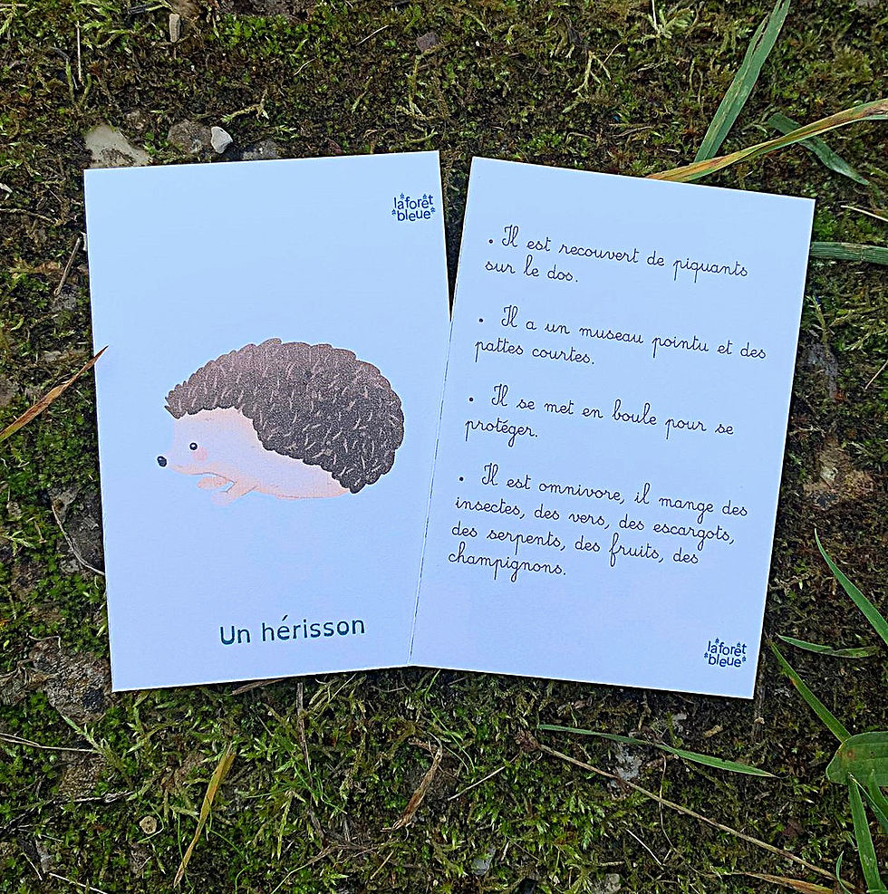Miniature : Jeu de cartes Devinettes Animaux