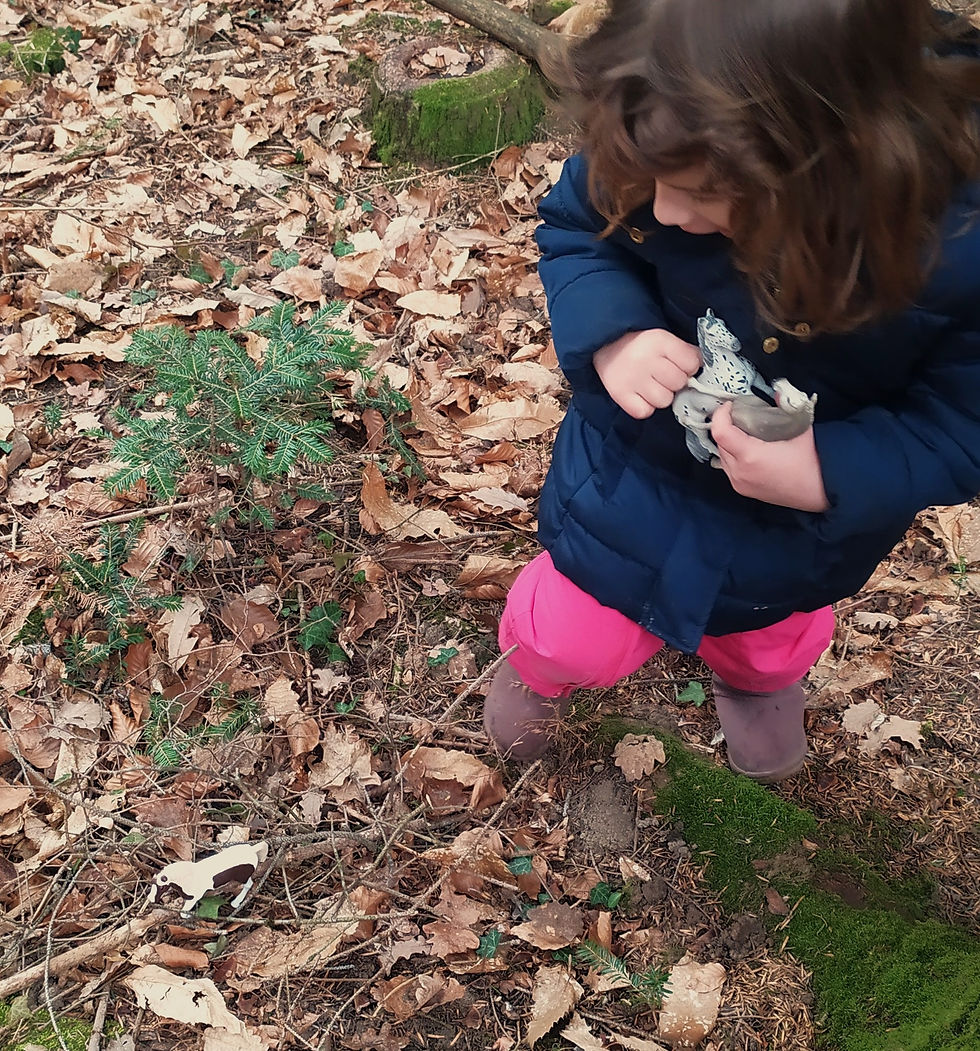 Chercher les figurines animaux.
