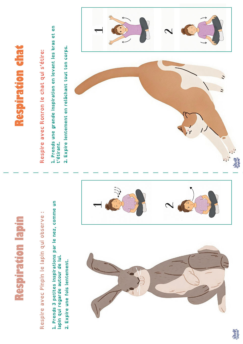 Miniature : Respirations des animaux