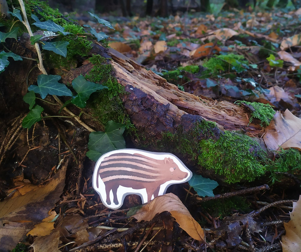 Miniature : Les ombres des animaux de la forêt