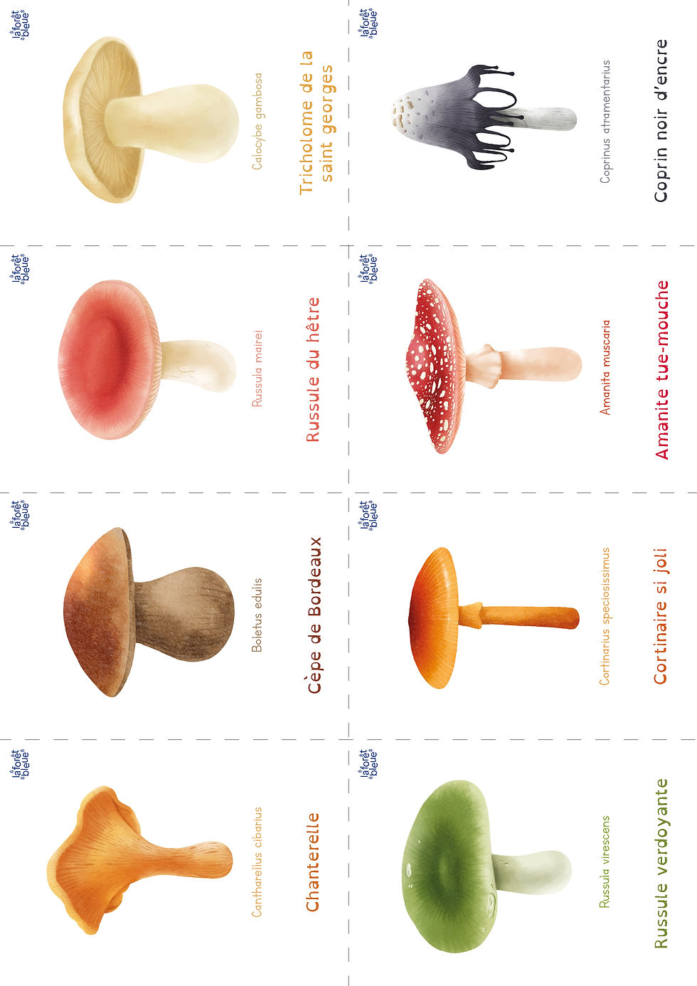 Miniature : Jeu de Mémory Champignons
