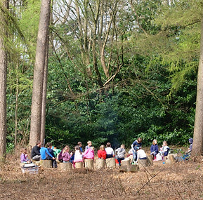 forest school pic 3.jpg