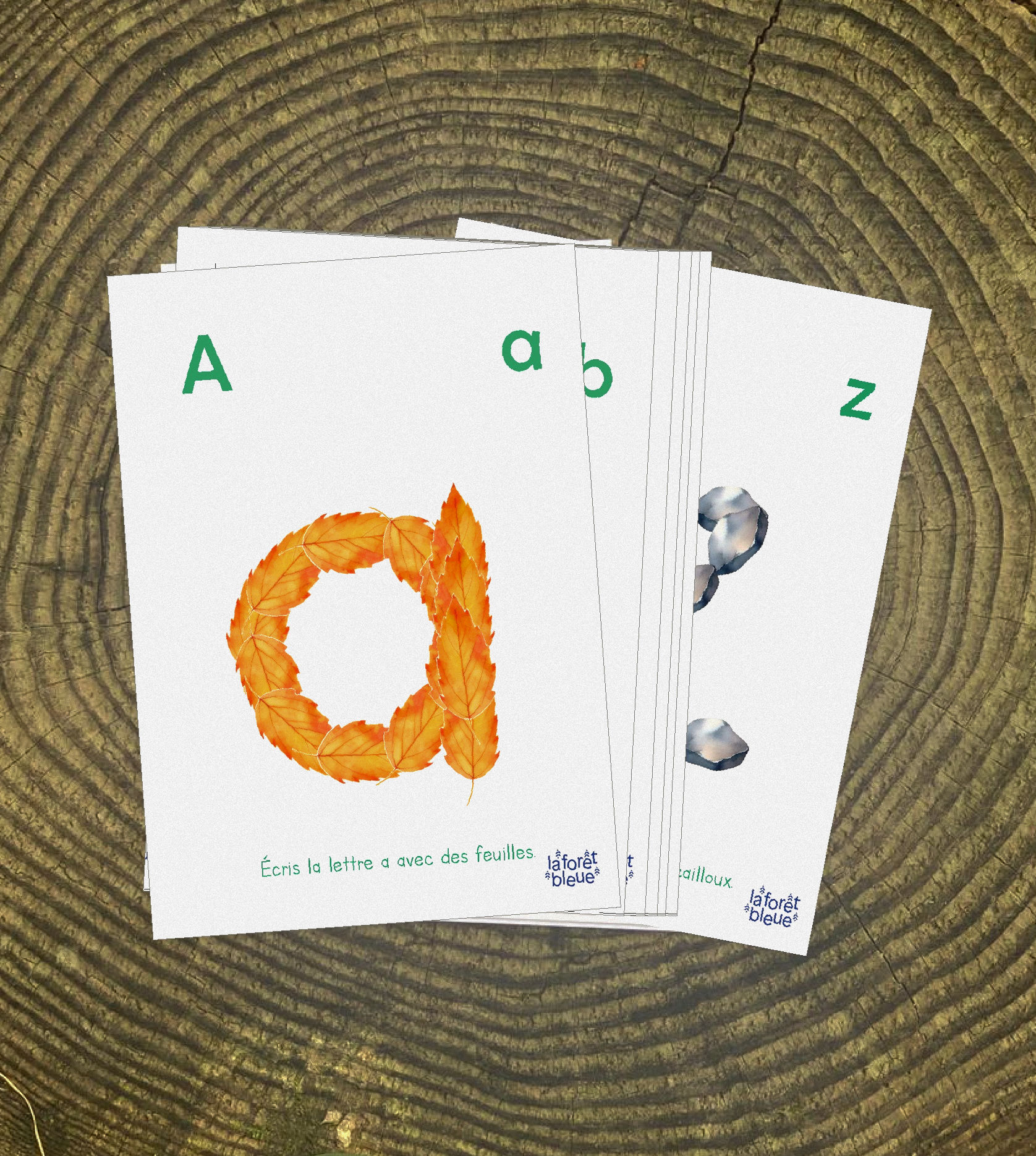 Jeu de cartes Lettres SCRIPT