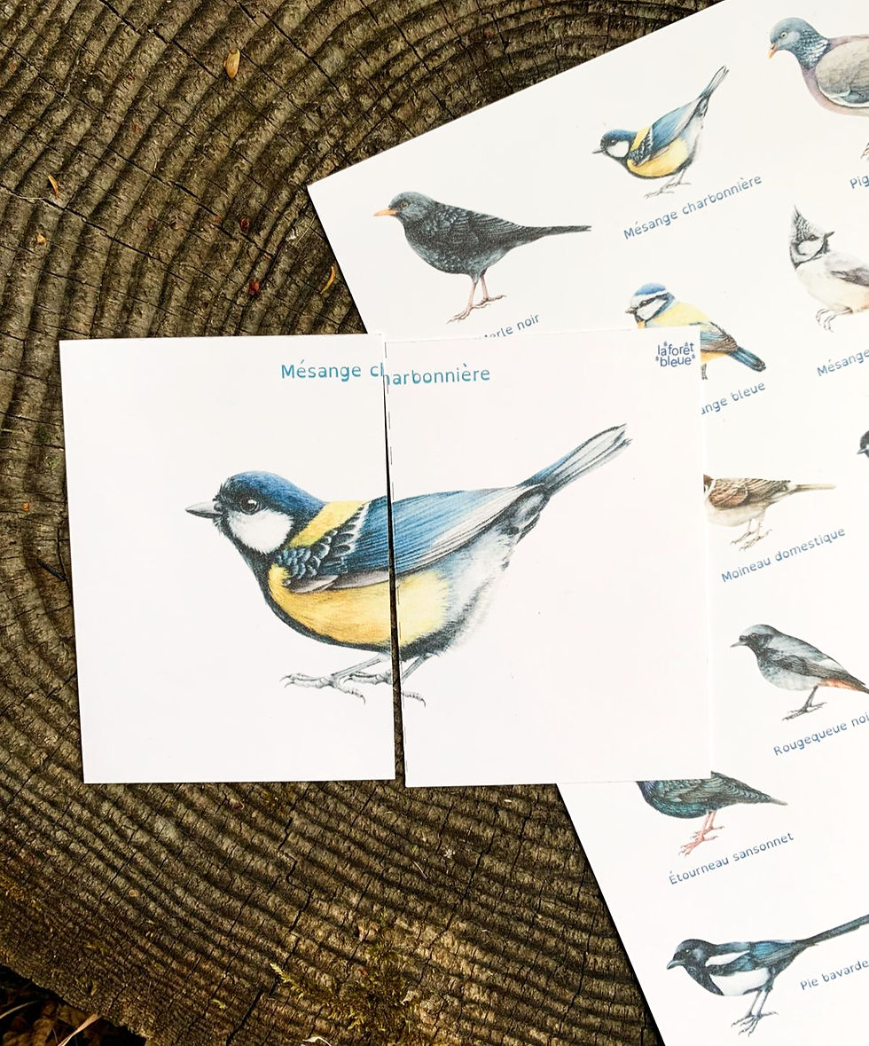 Miniature : Les oiseaux