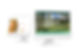 website mockups.jpg