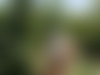 Cheers to all Supersonic Women!