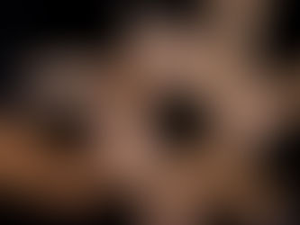 Calling all Protégés!