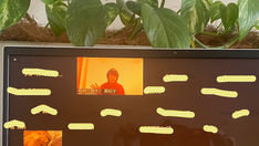 子供バレエ | 大人バレエ | 発表会説明会