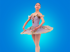 エントリー状況（早割後）