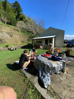 LINE_ALBUM_20241027 森プロジェクト_241103_23