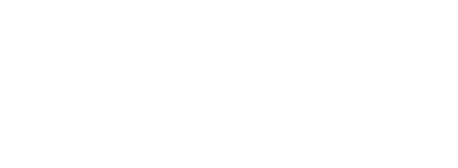 WASHBOX-200-SERIES_2x.png