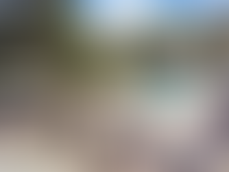 Why the Duplex Life Beats a Traditional Apartment