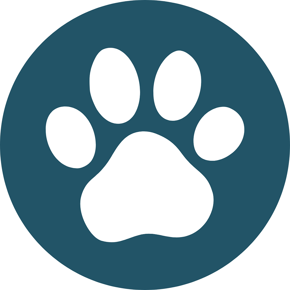 Amenity Icon (97).png