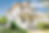 Copy of Website Photo (30).png