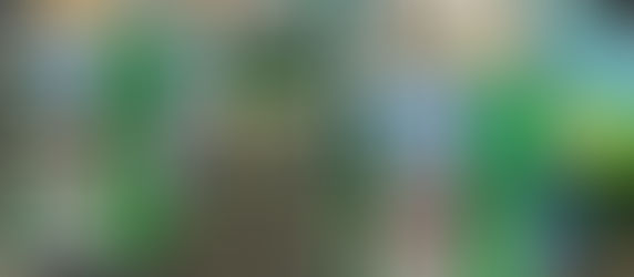 From launch to global demand