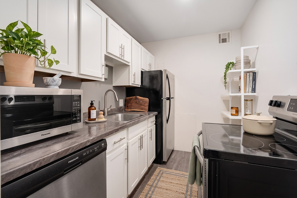 Waters House Interior Apartments (3).png