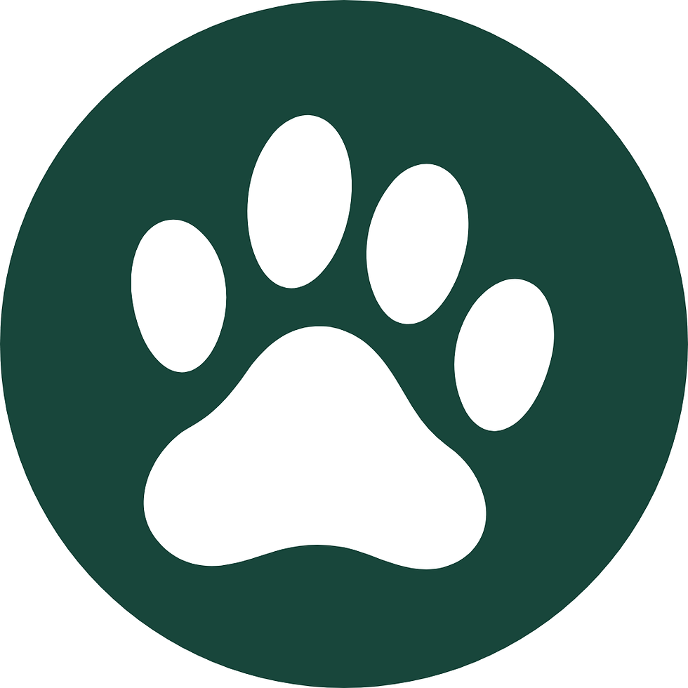 Amenity Icon - Website (88).png
